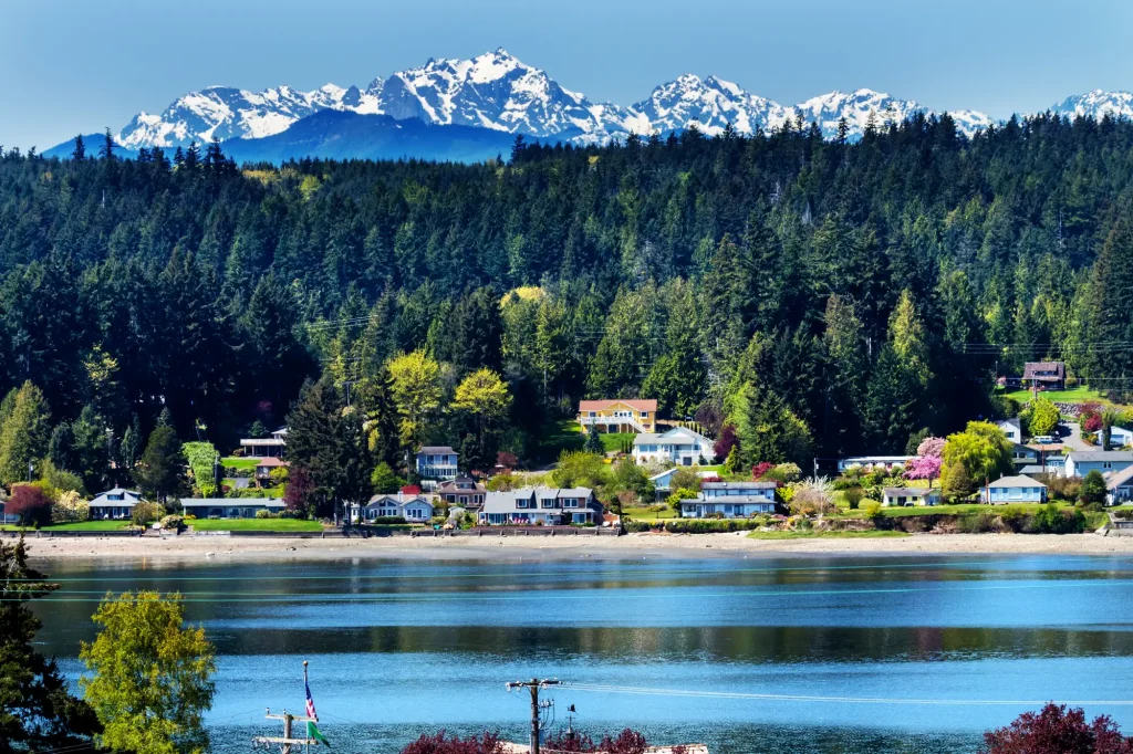 A variety of houses along the sandy shoreline and foothills of Bainbridge island. Behind them are a lush, dense forest of conifer trees. In the distant background are the Olympic Mountains covered in snow.