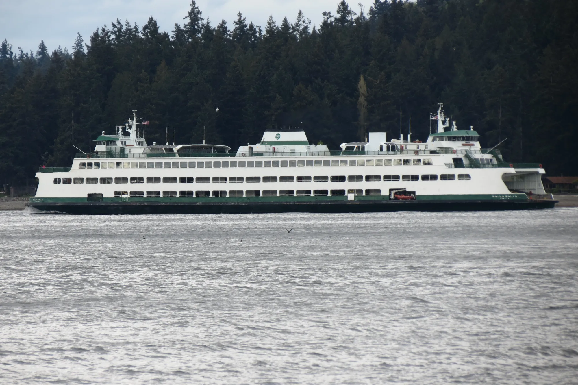 The MV Walla Walla, a green and white ferry vessel owned and operated by Washington State Ferries, sails in the Rich Passage